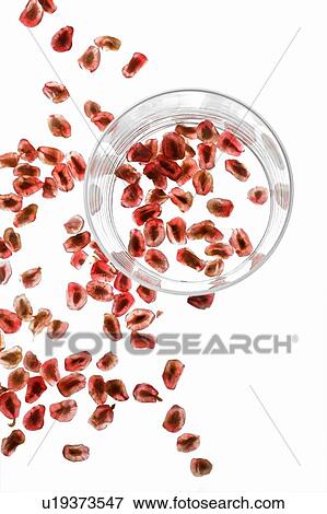 Red berries and empty glass View Large Photo Image Stock Photo - Red berries and empty glass. Fotosearch