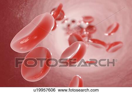 Red blood cells, illustration View Large Photo Image Stock Photograph - Red blood cells, illustration. Fotosearch