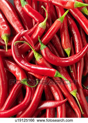 Red chilli peppers, overhead view, close-up View Large Photo Image Stock Photograph - Red chilli peppers, overhead view, close-up. Fotosearch