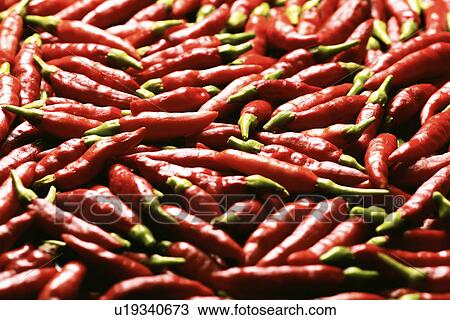 Red chilli peppers View Large Photo Image Stock Image - Red chilli peppers. Fotosearch