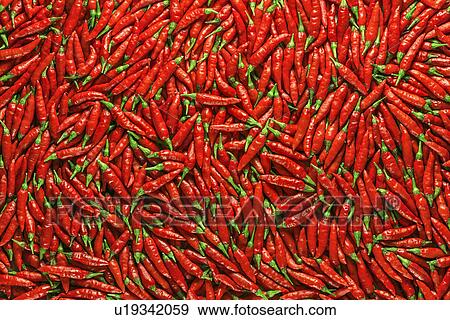 Red chilli peppers View Large Photo Image Stock Photo - Red chilli peppers. Fotosearch