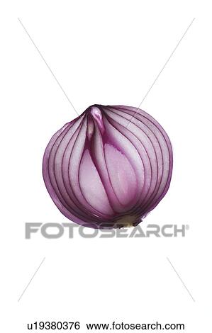Red onion View Large Photo Image Stock Photograph - Red onion. Fotosearch