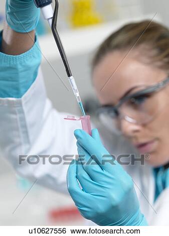 Stock Photograph - Researcher pipetting liquid. Fotosearch