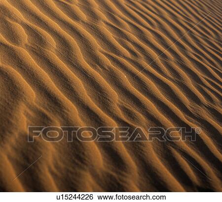Ripples in a sand dune View Large Photo Image Stock Photograph - Ripples in a sand dune. Fotosearch
