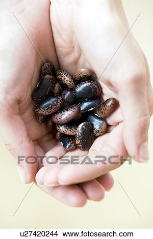 Runner beans View Large Photo Image Picture - Runner beans. Fotosearch