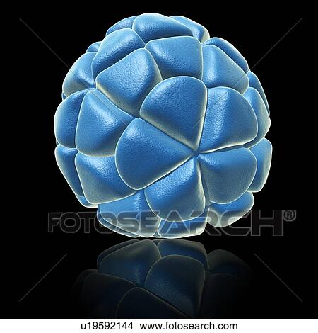 Picture - Satellite tobacco necrosis virus. Fotosearch