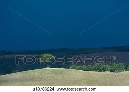 Picture - Scenic view, Buonconvento, Tuscany, Italy. Fotosearch