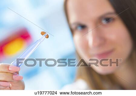 Picture - Scientist holding a bean between tweezers. Fotosearch