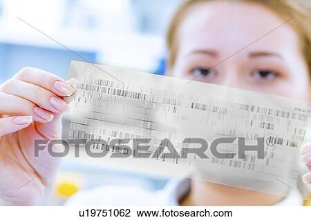 Stock Image - Scientist holding dna sequencing results. Fotosearch