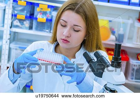 Scientist holding micro test tubes View Large Photo Image Picture - Scientist holding micro test tubes. Fotosearch