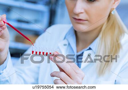 Scientist holding micro test tubes View Large Photo Image Picture - Scientist holding micro test tubes. Fotosearch