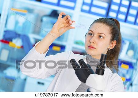 Scientist holding microscope slide View Large Photo Image Stock Photo - Scientist holding microscope slide. Fotosearch