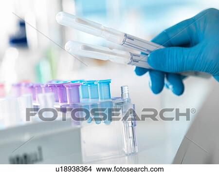 Scientist preparing a DNA swab for analysis in a laboratory for forensic or paternity testing View Large Photo Image Picture - Scientist preparing a DNA swab for analysis in a laboratory for forensic or paternity testing. Fotosearch