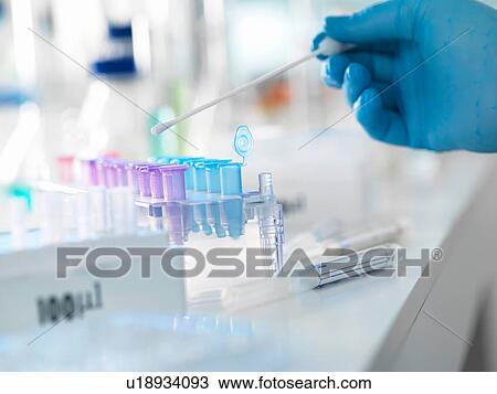 Scientist preparing a DNA swab for analysis in a laboratory for forensic or paternity testing View Large Photo Image Stock Image - Scientist preparing a DNA swab for analysis in a laboratory for forensic or paternity testing. Fotosearch