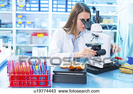 Stock Image - Scientist studying food samples. Fotosearch