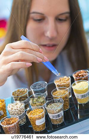 Scientist studying legumes in lab View Large Photo Image Stock Image - Scientist studying legumes in lab. Fotosearch