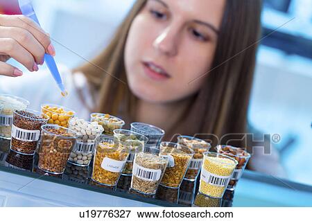 Scientist studying legumes in lab View Large Photo Image Stock Photo - Scientist studying legumes in lab. Fotosearch