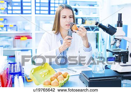 Scientist testing an egg in a lab View Large Photo Image Stock Image - Scientist testing an egg in a lab. Fotosearch