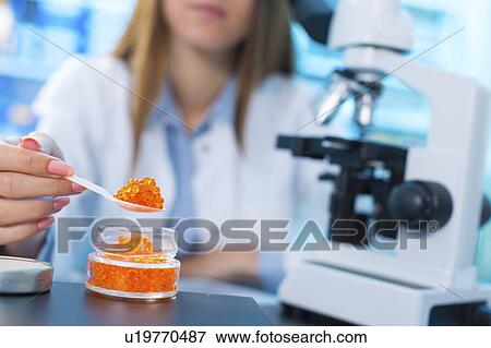 Stock Photo - Scientist testing caviar in a lab. Fotosearch
