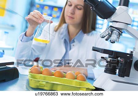 Scientist testing egg yolk in a lab View Large Photo Image Stock Image - Scientist testing egg yolk in a lab. Fotosearch