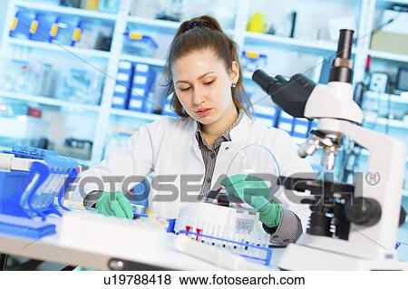 Scientist testing samples in lab View Large Photo Image Stock Photo - Scientist testing samples in lab. Fotosearch