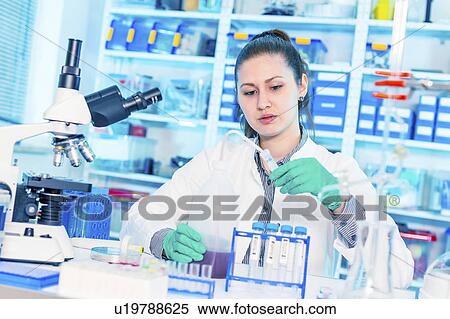 Scientist testing samples in lab View Large Photo Image Stock Photography - Scientist testing samples in lab. Fotosearch