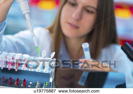 Scientist using pipette View Large Photo Image Stock Photo - Scientist using pipette. Fotosearch