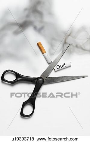 Stock Photo - Scissors cutting cigarette. Fotosearch