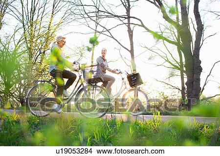 Side view of women cycling on bicycles View Large Photo Image Picture - Side view of women cycling on bicycles. Fotosearch
