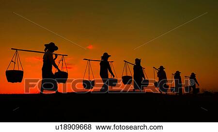 Silhouette of workers carrying yoke and buckets at sunset, Myanmar View Large Photo Image Stock Photo - Silhouette of workers carrying yoke and buckets at sunset, Myanmar. Fotosearch