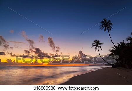 Stock Image - Silhouetted sunset with palm tree's on beach, Dominican Republic, The Caribbean. Fotosearch