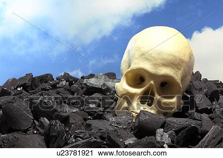 Stock Image - Skull and coal. Fotosearch