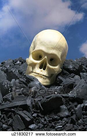 Stock Photo - Skull and coal. Fotosearch