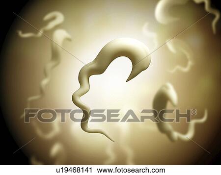 Stock Image - Sleeping sickness parasites, illustration. Fotosearch