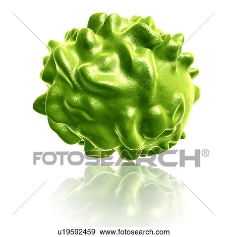 Smallpox virus, illustration View Large Photo Image Stock Photo - Smallpox virus, illustration. Fotosearch