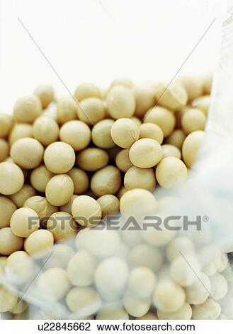 Stock Image - Soya beans. Fotosearch