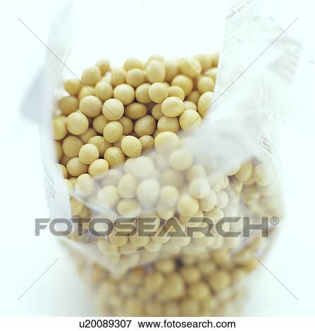 Stock Photo - Soya beans. Fotosearch