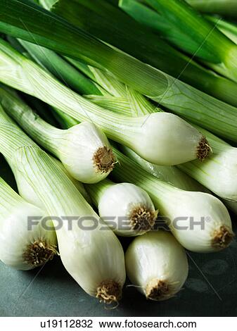 Stock Image - Spring onions, close-up. Fotosearch