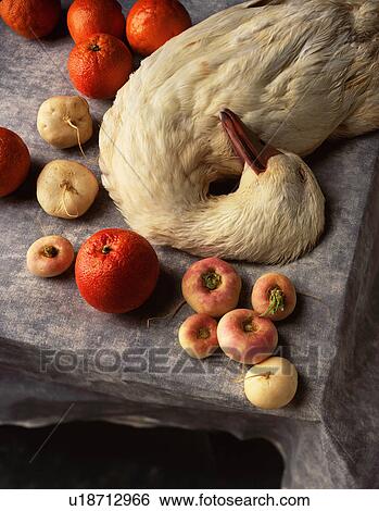 Still life of aylesbury duck, blood oranges and turnips View Large Photo Image Stock Photograph - Still life of aylesbury duck, blood oranges and turnips. Fotosearch