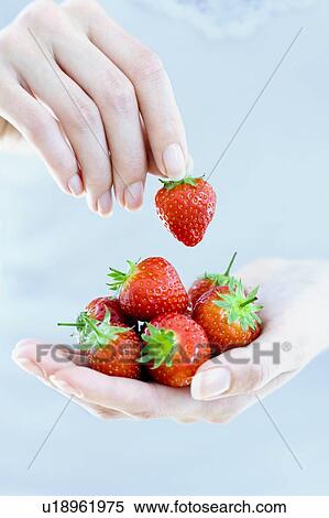 Stock Photography - Strawberries. Fotosearch