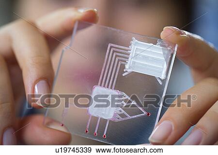 Stock Photo - Technician holding a lab on a chip. Fotosearch