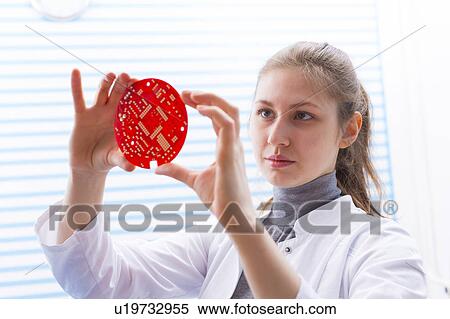 Technician holding electrical component View Large Photo Image Stock Photography - Technician holding electrical component. Fotosearch