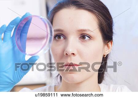 Technician holding petri dish in lab View Large Photo Image Stock Image - Technician holding petri dish in lab. Fotosearch