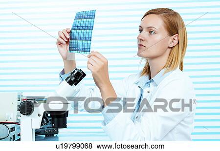 Stock Photo - Technician holding silicon wafers. Fotosearch