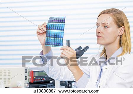 Technician holding silicon wafers View Large Photo Image Stock Photo - Technician holding silicon wafers. Fotosearch
