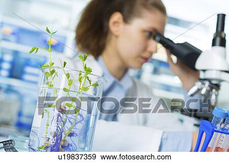 Technician using microscope View Large Photo Image Stock Photo - Technician using microscope. Fotosearch