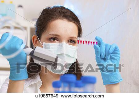 Technician using multipipette in lab View Large Photo Image Stock Photo - Technician using multipipette in lab. Fotosearch