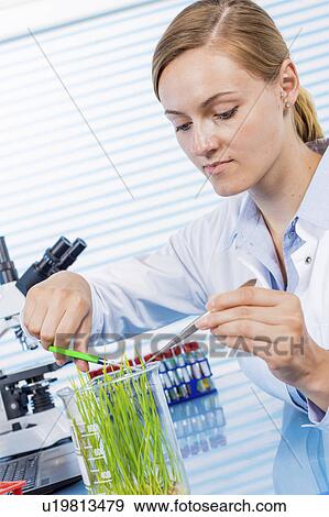 Technician working in lab with plants View Large Photo Image Stock Photo - Technician working in lab with plants. Fotosearch