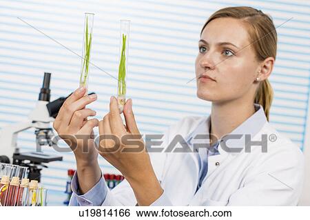 Stock Photograph - Technician working in lab with plants. Fotosearch