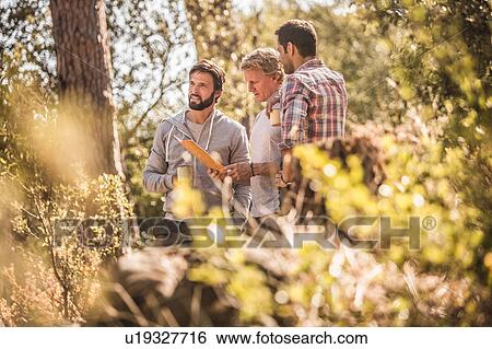 Three male hikers reading map in forest, Deer Park, Cape Town, South Africa View Large Photo Image Stock Photograph - Three male hikers reading map in forest, Deer Park, Cape Town, South Africa. Fotosearch